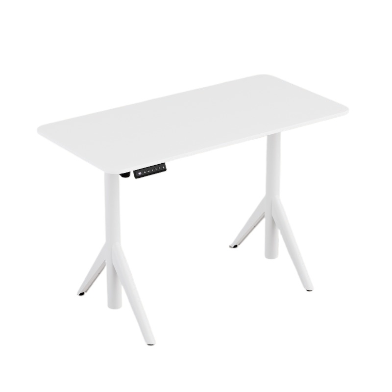 Slim elektrisch in hoogte vers - Standing Desk Electric recensie en prijs